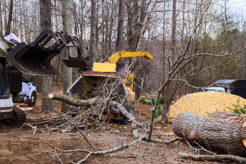 Dead Tree Removal in Duluth, MN
