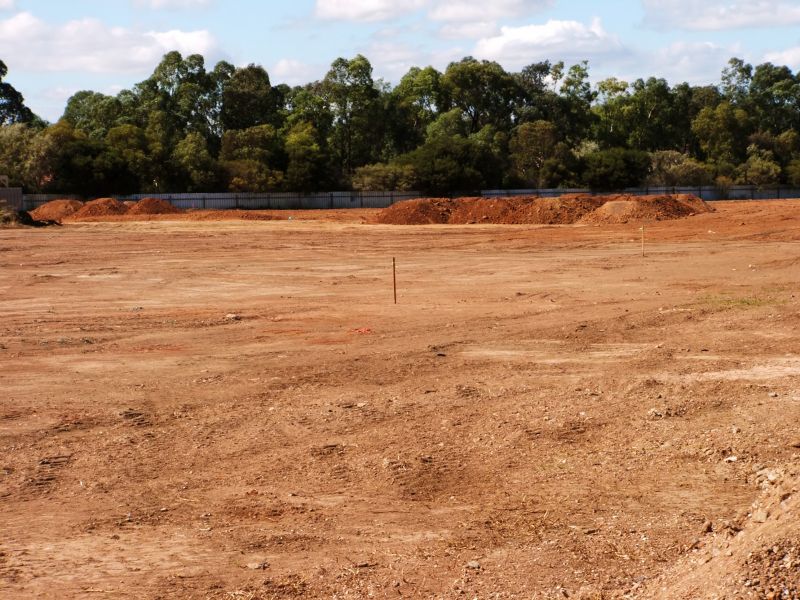 Property Line Clearing in Houston, TX
